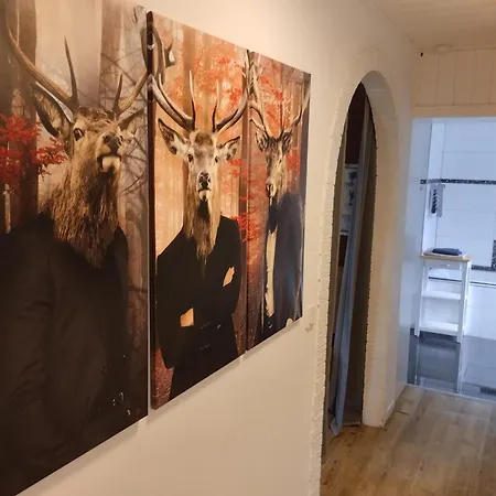 Eifelfee Apartamento